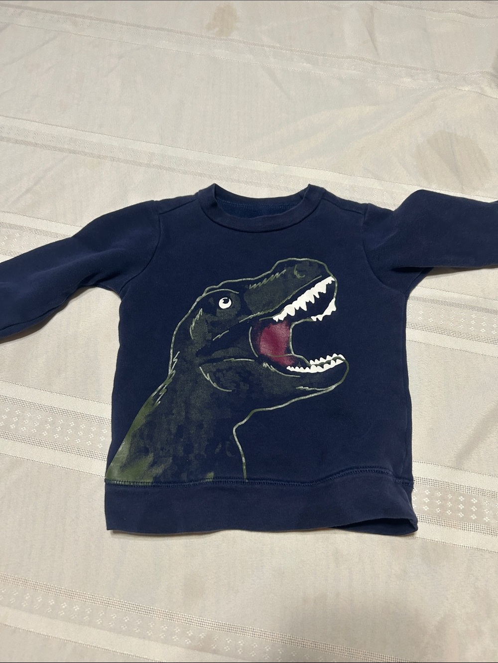 child of mine Navy Sweatshirt with Green Dino Graphic